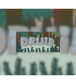 Druid Steam Key GLOBAL